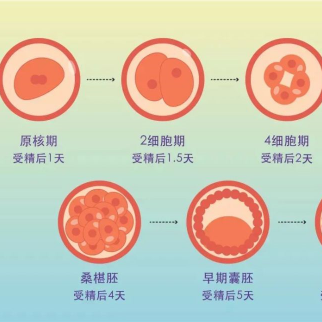 重庆供卵不用等医院大全，高龄备孕家庭真等不起！